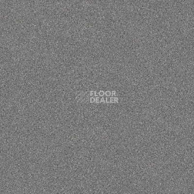 Линолеум IVC Inter SAMSON T94 фото 1 | FLOORDEALER